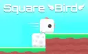 Square Bird