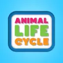 Animal Life Cycle